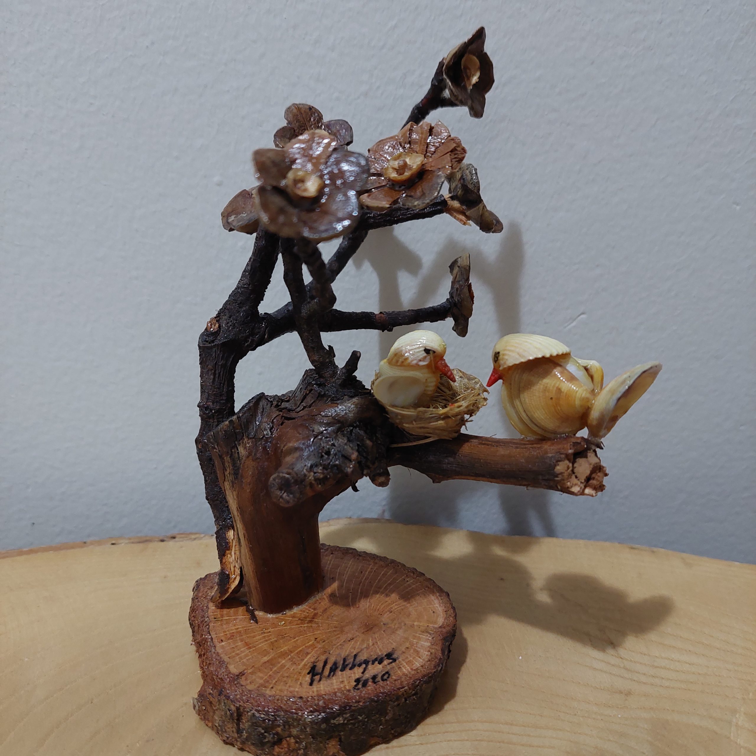 balıkçı kurbağalar