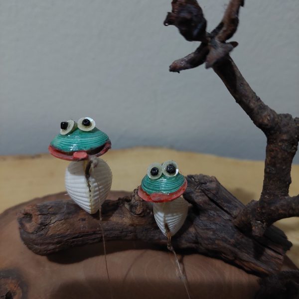 20220217_171247 balıkçı kurbağalar